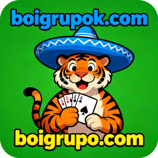 boigrupo.com Logo